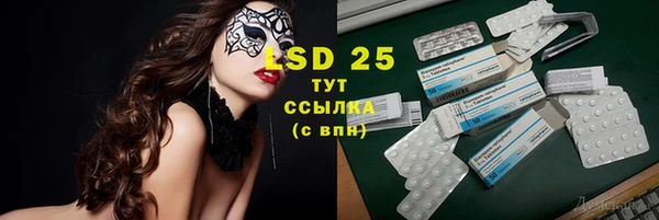 стафф Алзамай