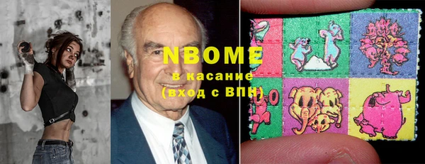 стафф Алзамай