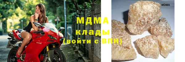 стафф Алзамай