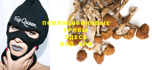 гашишное масло Алексеевка