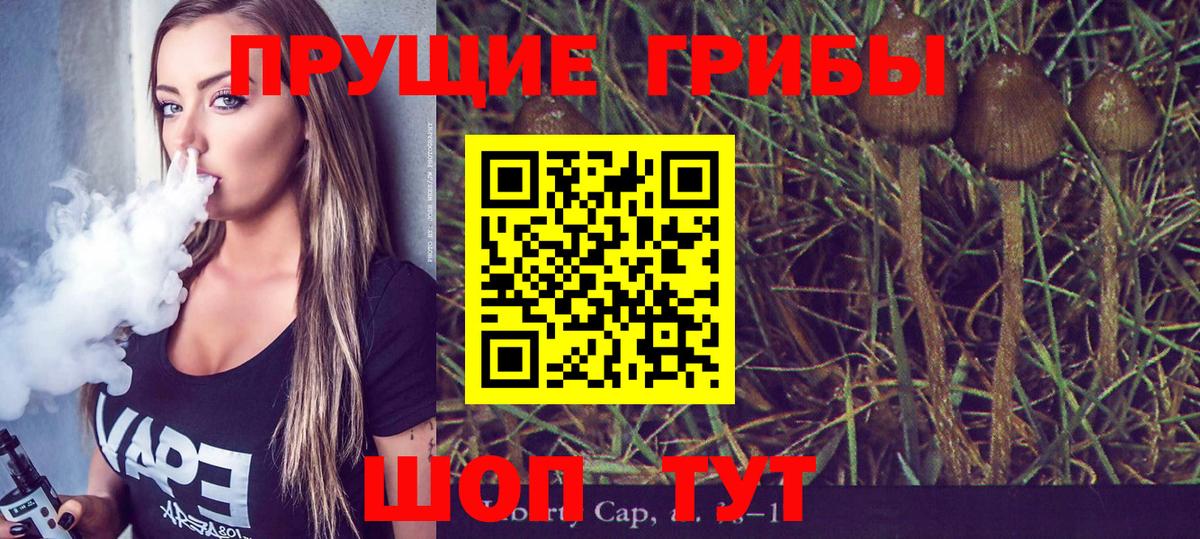 где найти наркотики  Вход с VPN  Глазов  Галлюциногенные грибы Cubensis 